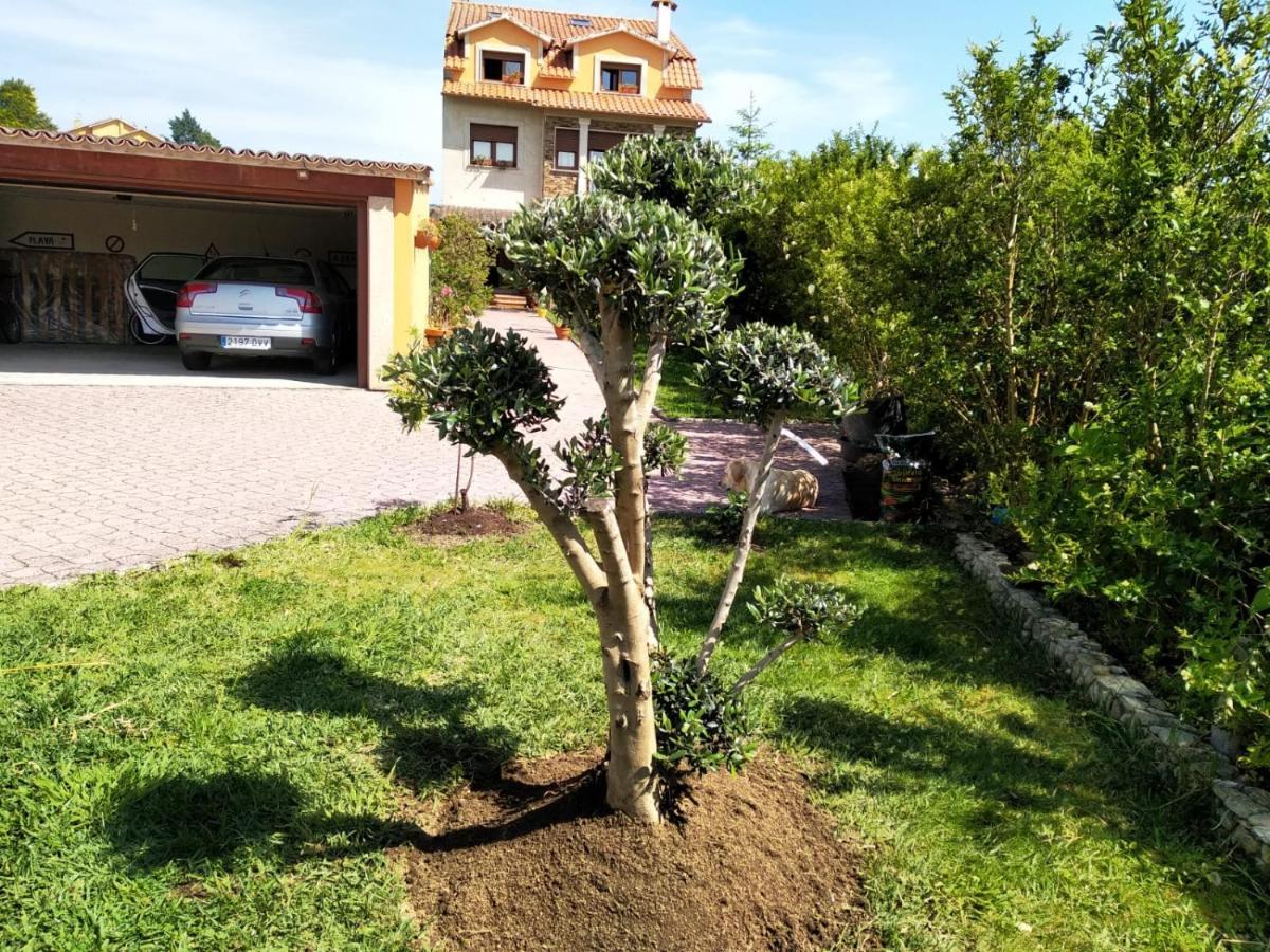Apartamento Casa A Brana โอโกรเบ ภายนอก รูปภาพ